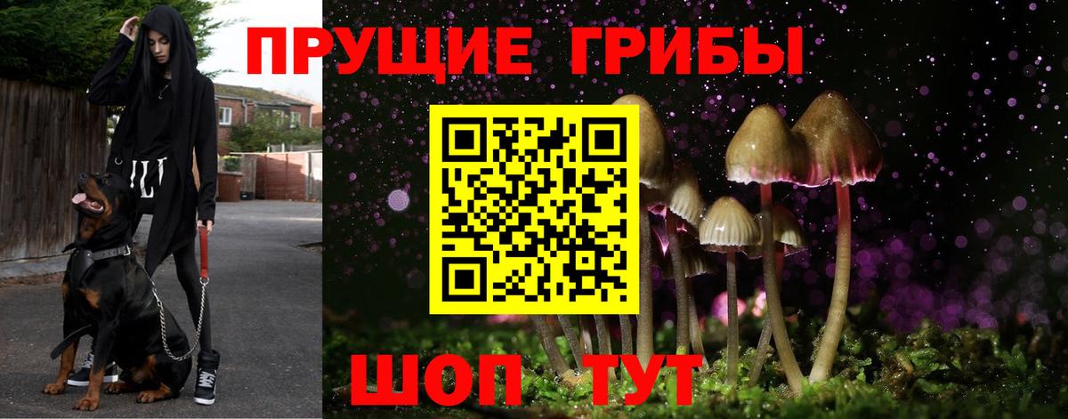 Галлюциногенные грибы Psilocybine cubensis  Вход с VPN  Москва 